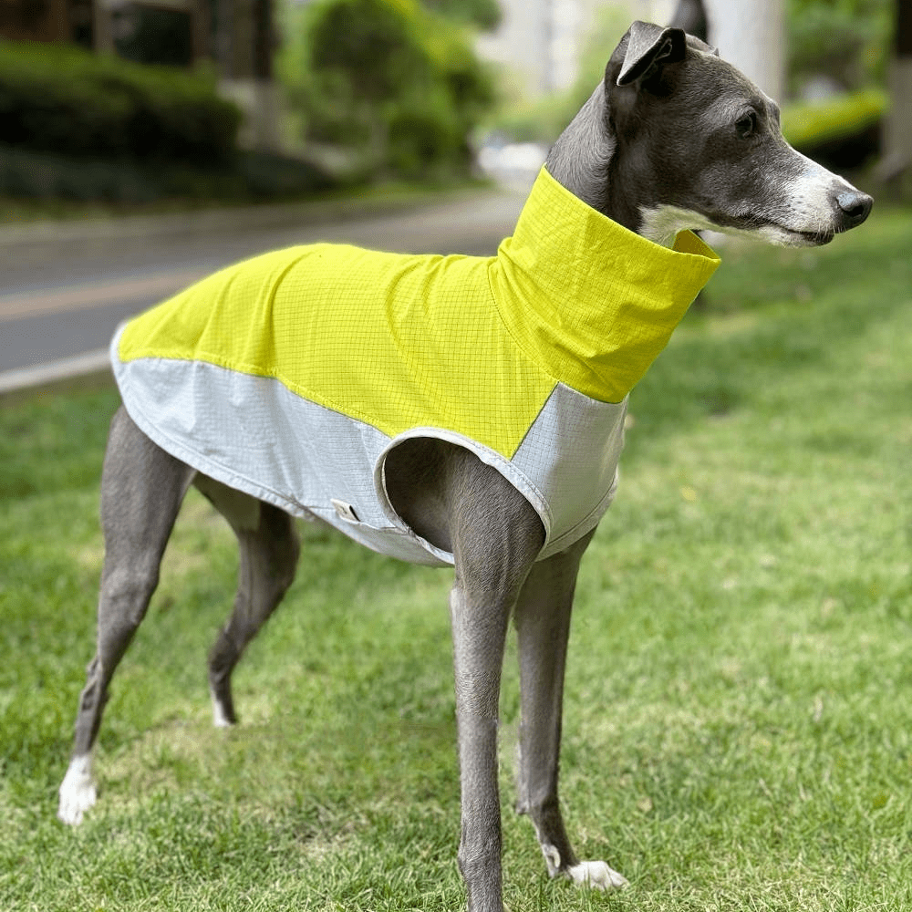 Quick - Dry Breathable Sleeveless Vest Italian Greyhounds Whippet Dog Clothes - PIKAPIKA