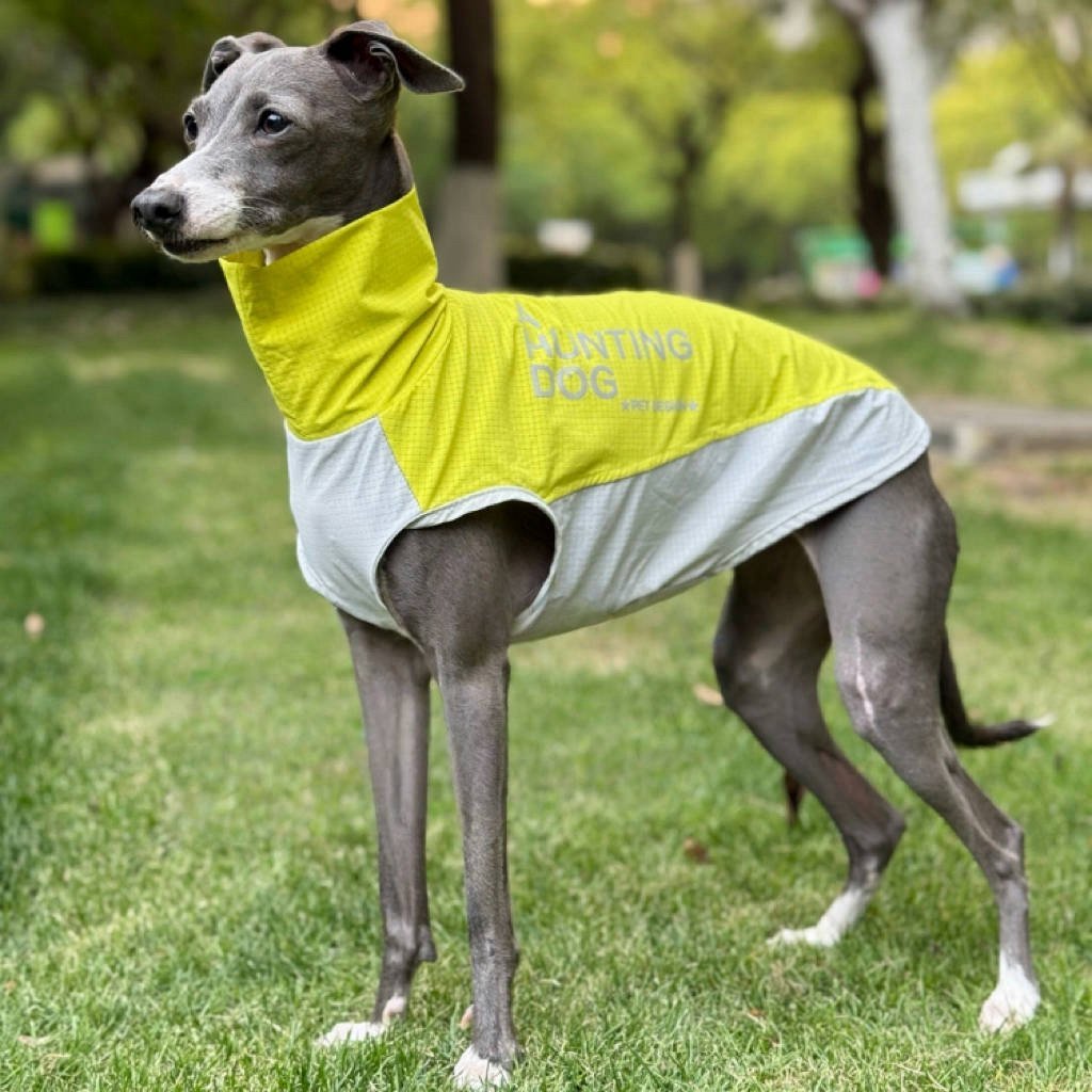 Quick - Dry Breathable Sleeveless Vest Italian Greyhounds Whippet Dog Clothes - PIKAPIKA