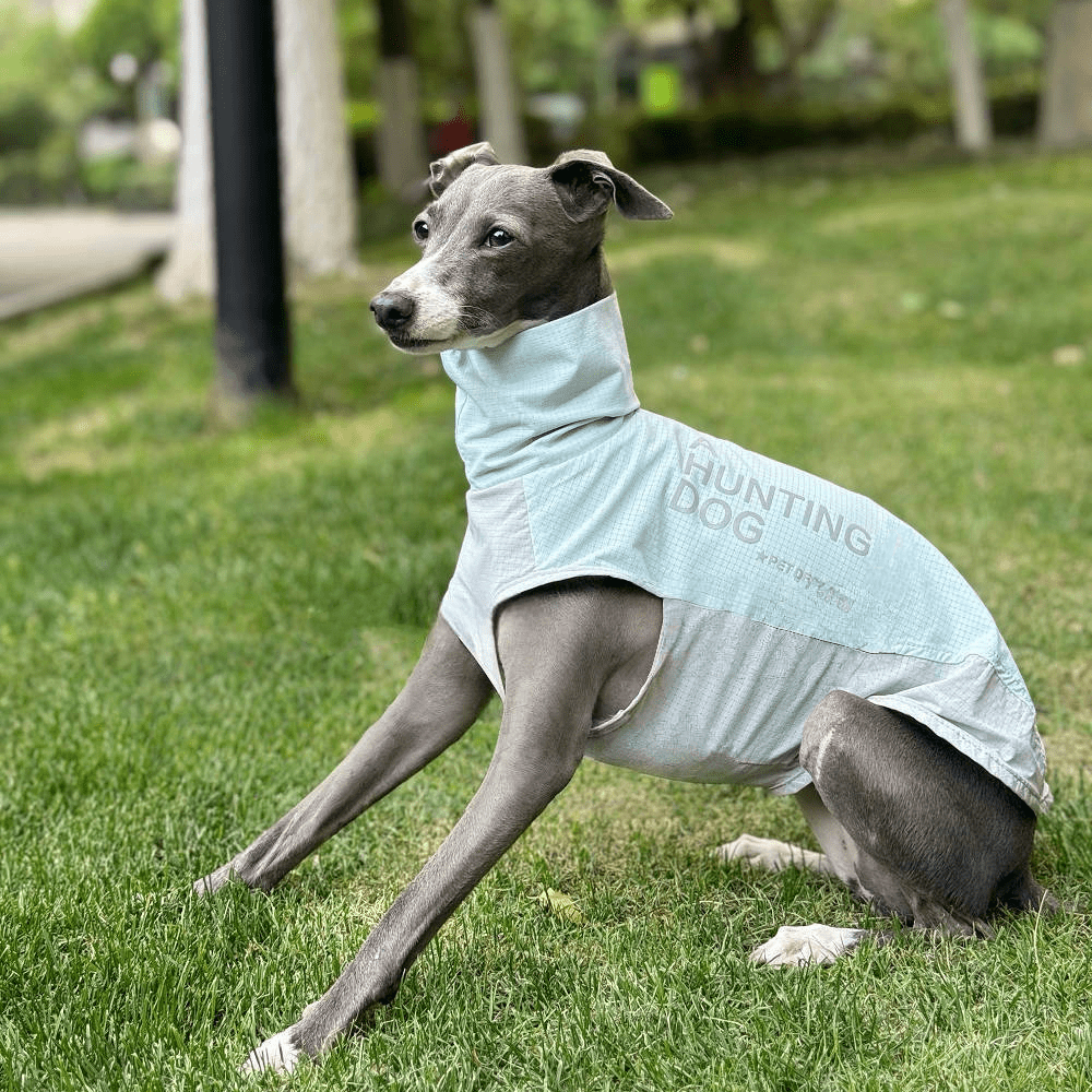 Quick - Dry Breathable Sleeveless Vest Italian Greyhounds Whippet Dog Clothes - PIKAPIKA