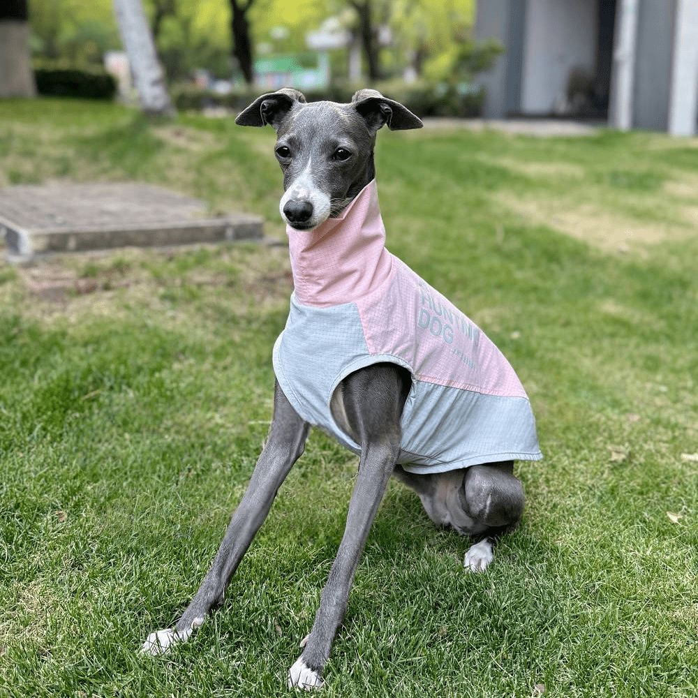 Quick - Dry Breathable Sleeveless Vest Italian Greyhounds Whippet Dog Clothes - PIKAPIKA
