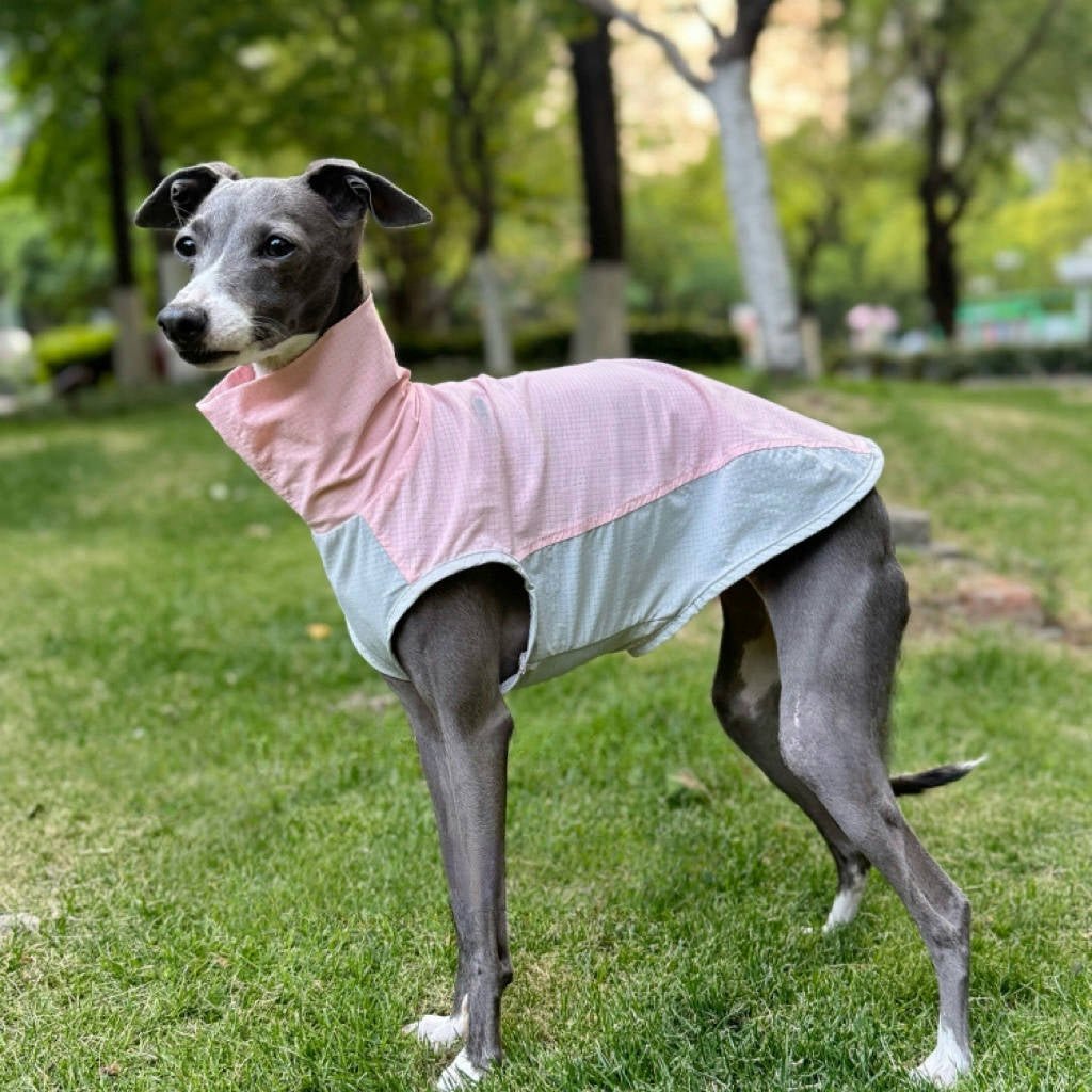 Quick - Dry Breathable Sleeveless Vest Italian Greyhounds Whippet Dog Clothes - PIKAPIKA