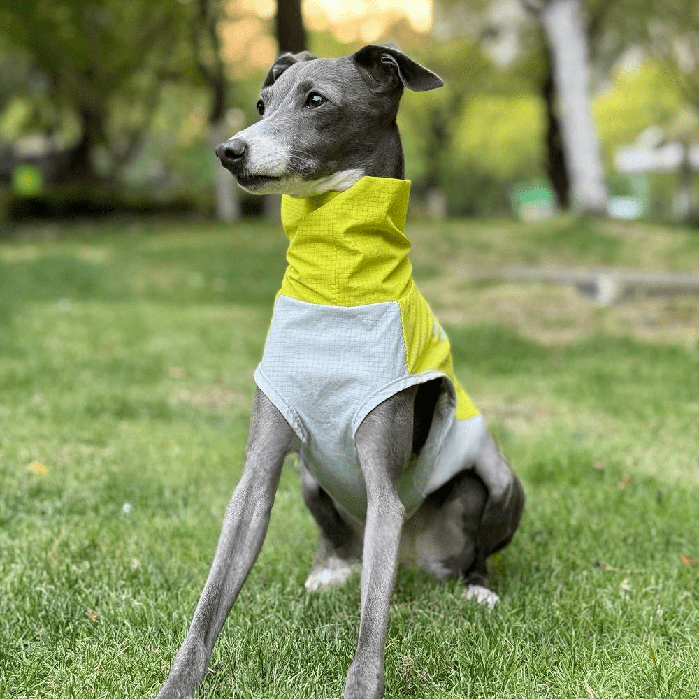 Quick - Dry Breathable Sleeveless Vest Italian Greyhounds Whippet Dog Clothes - PIKAPIKA