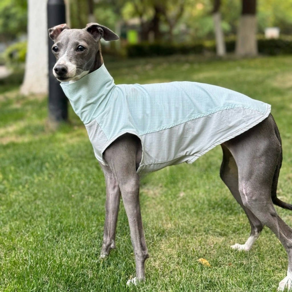 Quick - Dry Breathable Sleeveless Vest Italian Greyhounds Whippet Dog Clothes - PIKAPIKA