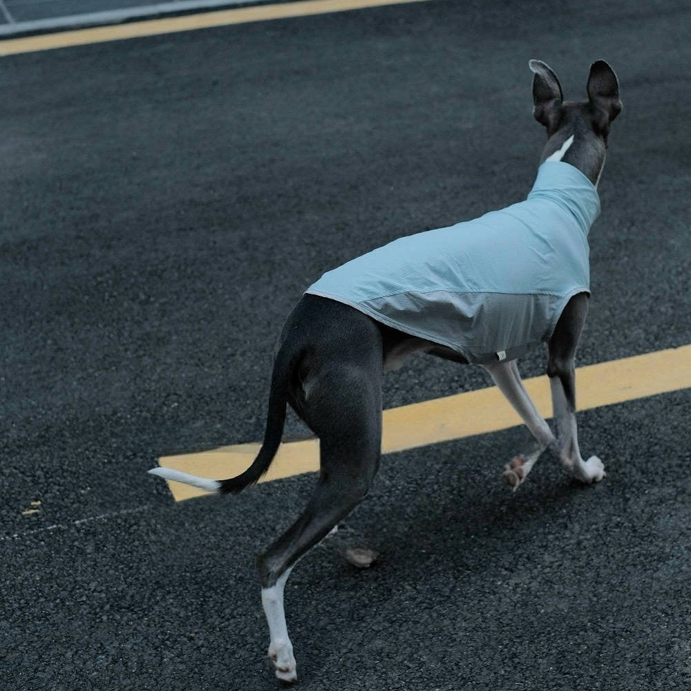 Quick - Dry Breathable Sleeveless Vest Italian Greyhounds Whippet Dog Clothes - PIKAPIKA