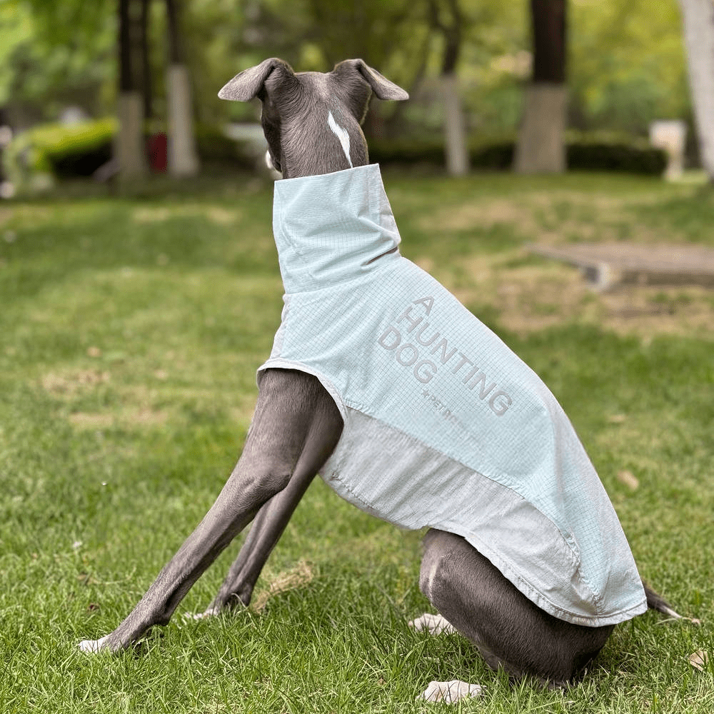 Quick - Dry Breathable Sleeveless Vest Italian Greyhounds Whippet Dog Clothes - PIKAPIKA