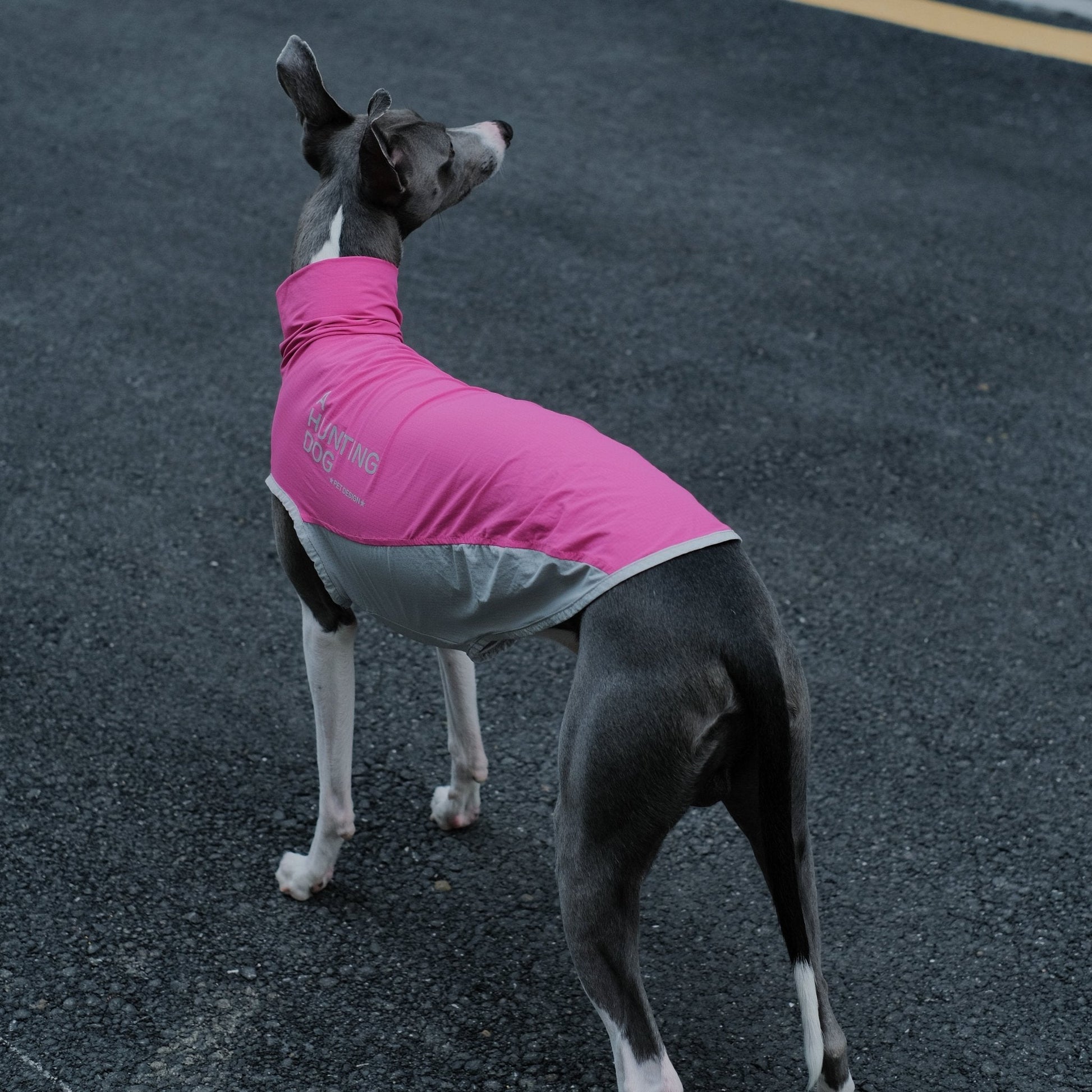 Quick - Dry Breathable Sleeveless Vest Italian Greyhounds Whippet Dog Clothes - PIKAPIKA