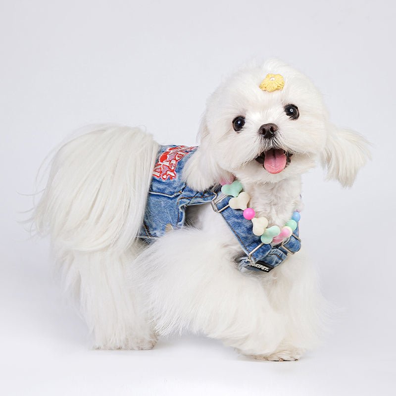 Rainbow Candy Necklace Dog & Cat Accessories - PIKAPIKA