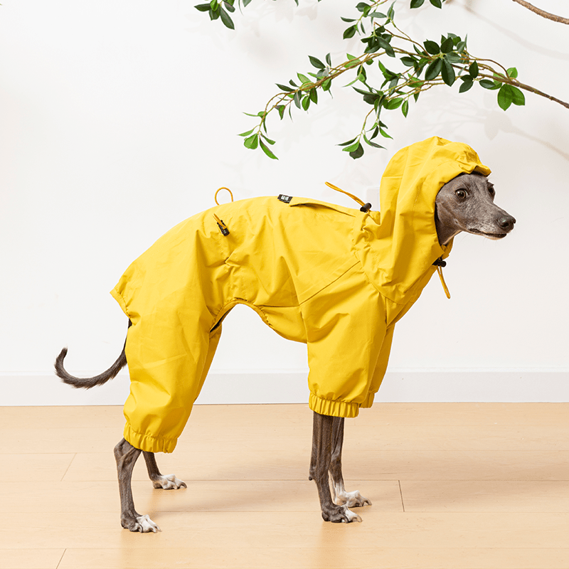 Raincoat Dog Jacket Outdoor Clothes Italian greyhound Whippet - PIKAPIKA