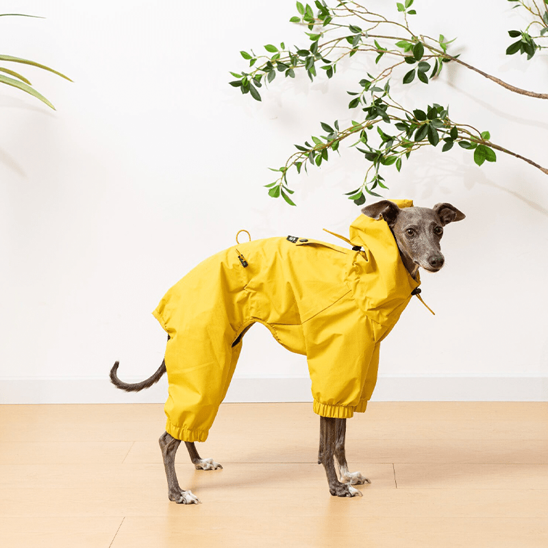 Raincoat Dog Jacket Outdoor Clothes Italian greyhound Whippet - PIKAPIKA
