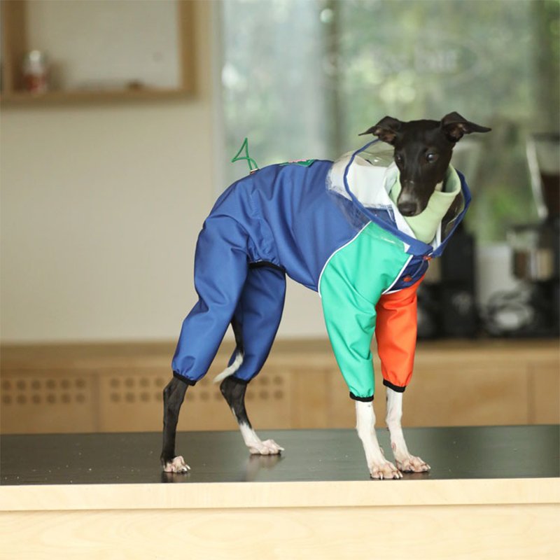Raincoat Onesie Outdoor Jacket Italian Greyhound Whippet Dog Clothes - PIKAPIKA