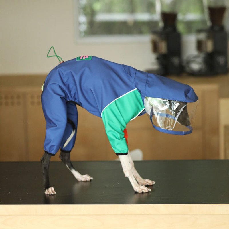 Raincoat Onesie Outdoor Jacket Italian Greyhound Whippet Dog Clothes - PIKAPIKA