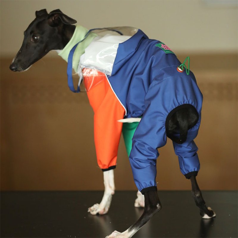 Raincoat Onesie Outdoor Jacket Italian Greyhound Whippet Dog Clothes - PIKAPIKA