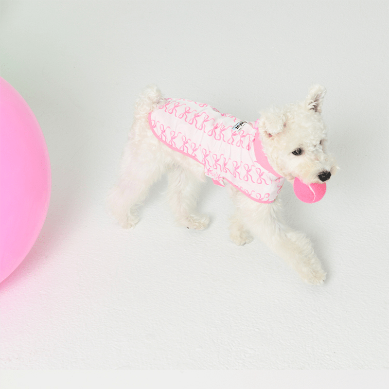 Raincoat Reversible Cape Jacket Dog Clothes Small Dog Pink - PIKAPIKA