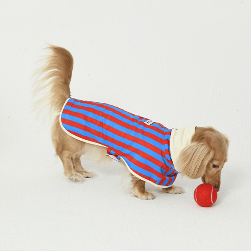 Raincoat Reversible Cape Jacket Small Dog Italian Greyhound Blue+Red Stripe - PIKAPIKA