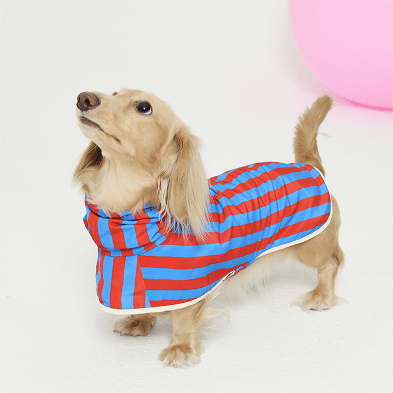Raincoat Reversible Cape Jacket Small Dog Italian Greyhound Blue+Red Stripe - PIKAPIKA