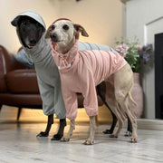 Sunproof Waterproof Hooded Whippet Dog Jacket