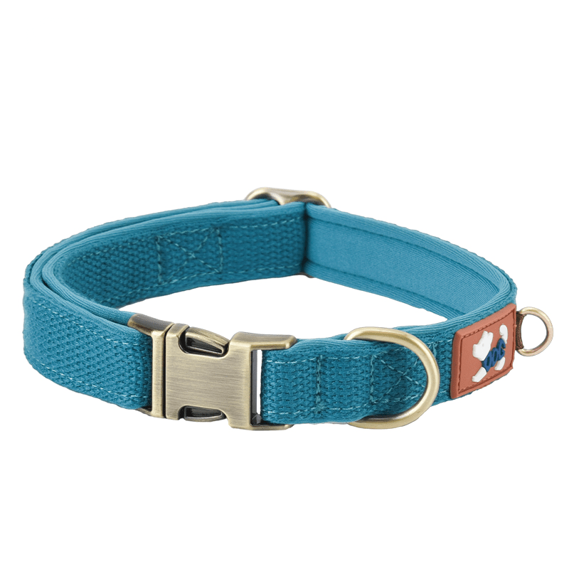 Reinforced Heavy - Duty Webbing Personalized Dog Collar Escape - Proof - PIKAPIKA