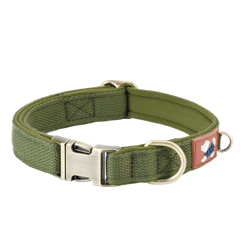 Reinforced Heavy - Duty Webbing Personalized Dog Collar Escape - Proof - PIKAPIKA