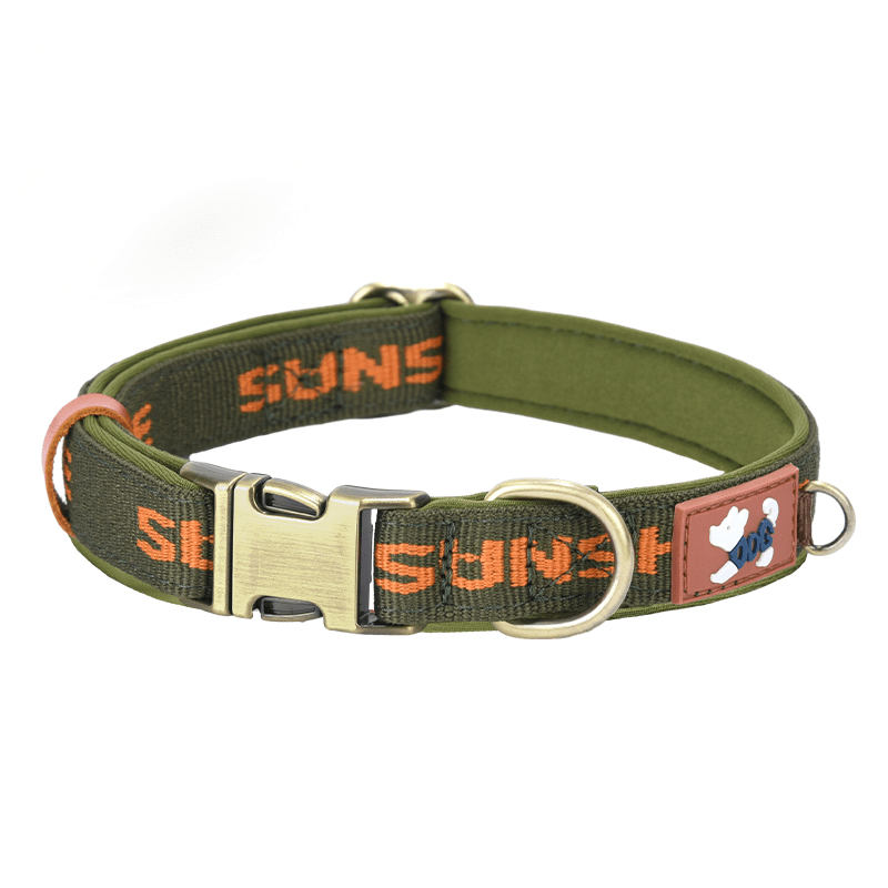 Reinforced Heavy - Duty Webbing Personalized Dog Collar with Word - PIKAPIKA