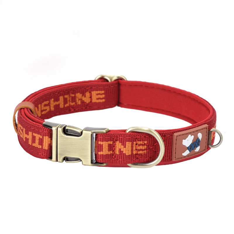 Reinforced Heavy - Duty Webbing Personalized Dog Collar with Word - PIKAPIKA
