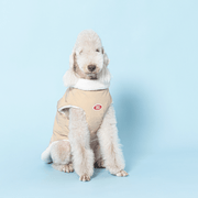 Reversible Padded Dog Jacket Fleece Clothes Bedlington - PIKAPIKA