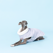 Reversible Padded Dog Jacket Fleece Clothes Italian Greyhound Whippet - PIKAPIKA