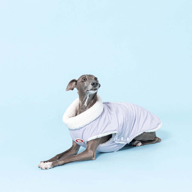 Reversible Padded Dog Jacket Fleece Clothes Italian Greyhound Whippet - PIKAPIKA