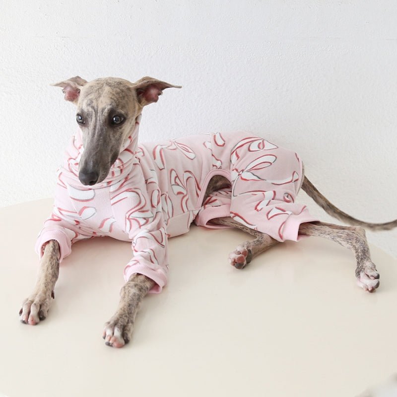 Ribbon Print Outfit for Italian Greyhound Whippet Dog Clothes - PIKAPIKA