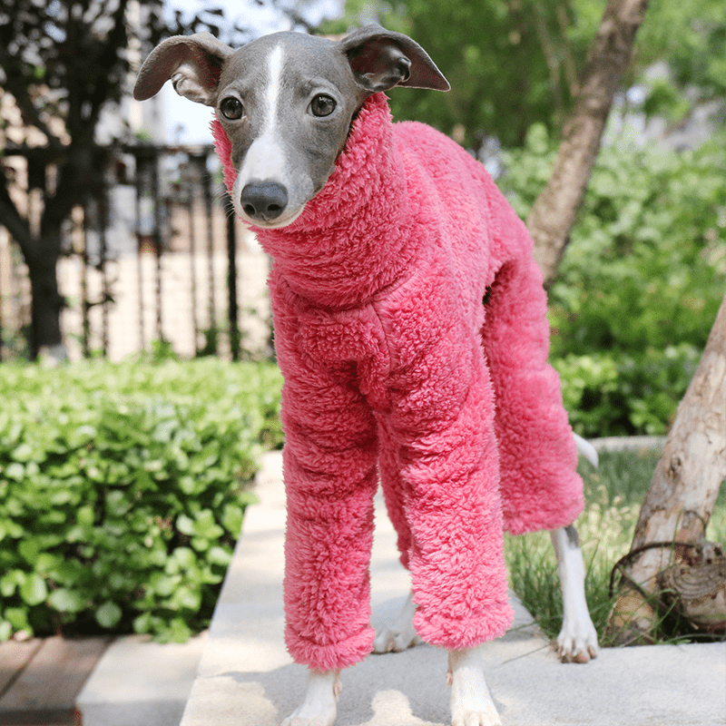 Rose Red Fleece Onesies Italian Greyhound Whippet Dog Clothes - PIKAPIKA