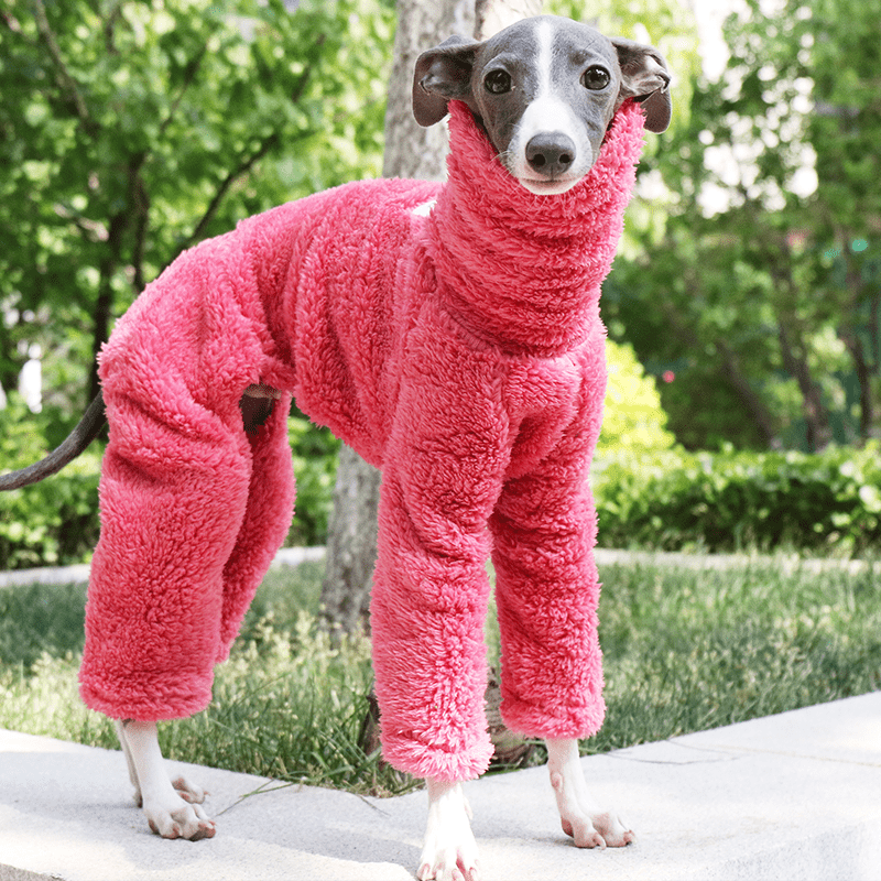 Rose Red Fleece Onesies Italian Greyhound Whippet Dog Clothes - PIKAPIKA