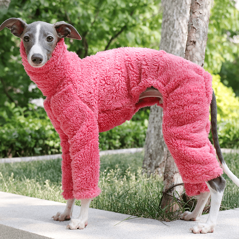 Rose Red Fleece Onesies Italian Greyhound Whippet Dog Clothes - PIKAPIKA