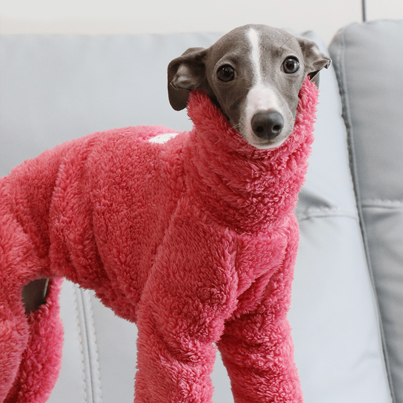 Rose Red Fleece Onesies Italian Greyhound Whippet Dog Clothes - PIKAPIKA