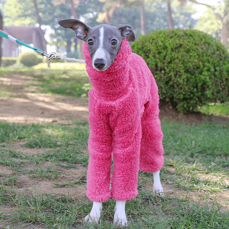 Rose Red Fleece Onesies Italian Greyhound Whippet Dog Clothes - PIKAPIKA