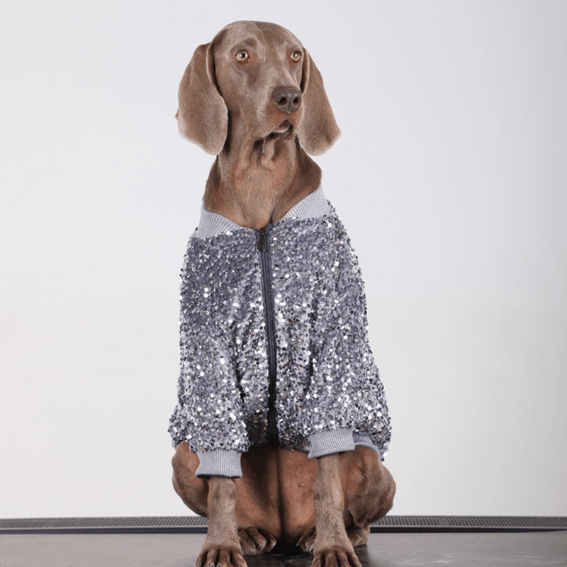 Shiny Party Wear Big Dog Coat Large Size Dog Clothes Jacket - PIKAPIKA