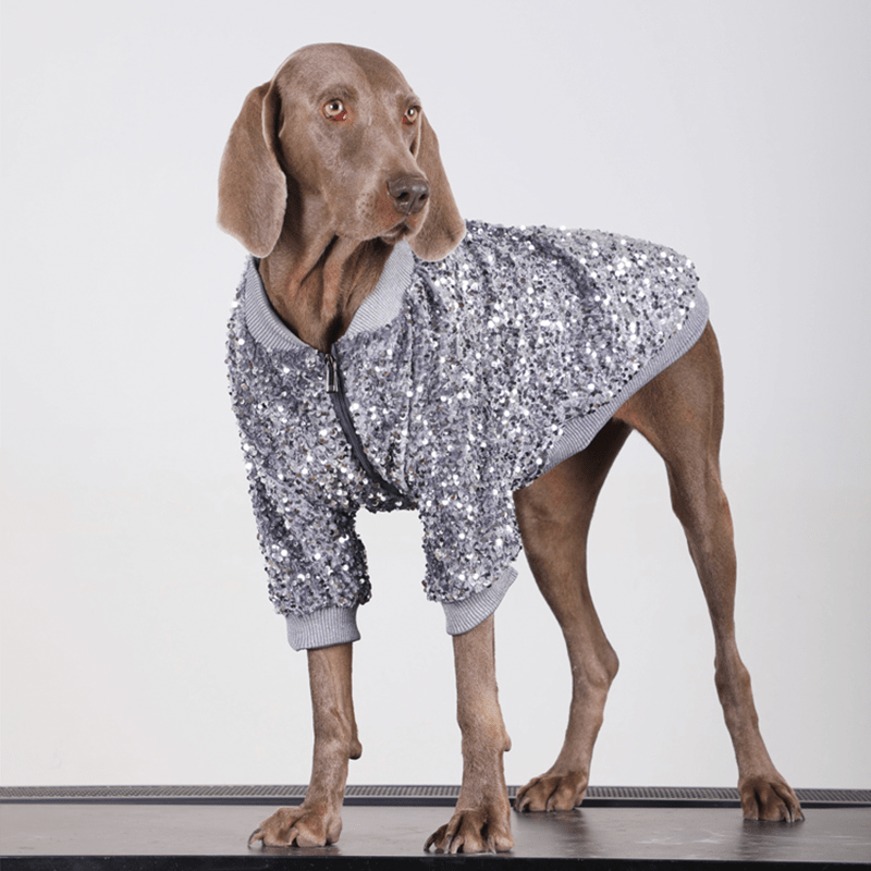 Shiny Party Wear Big Dog Coat Large Size Dog Clothes Jacket - PIKAPIKA