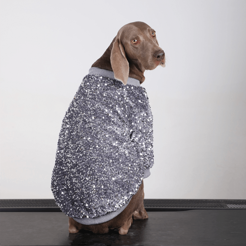 Shiny Party Wear Big Dog Coat Large Size Dog Clothes Jacket - PIKAPIKA