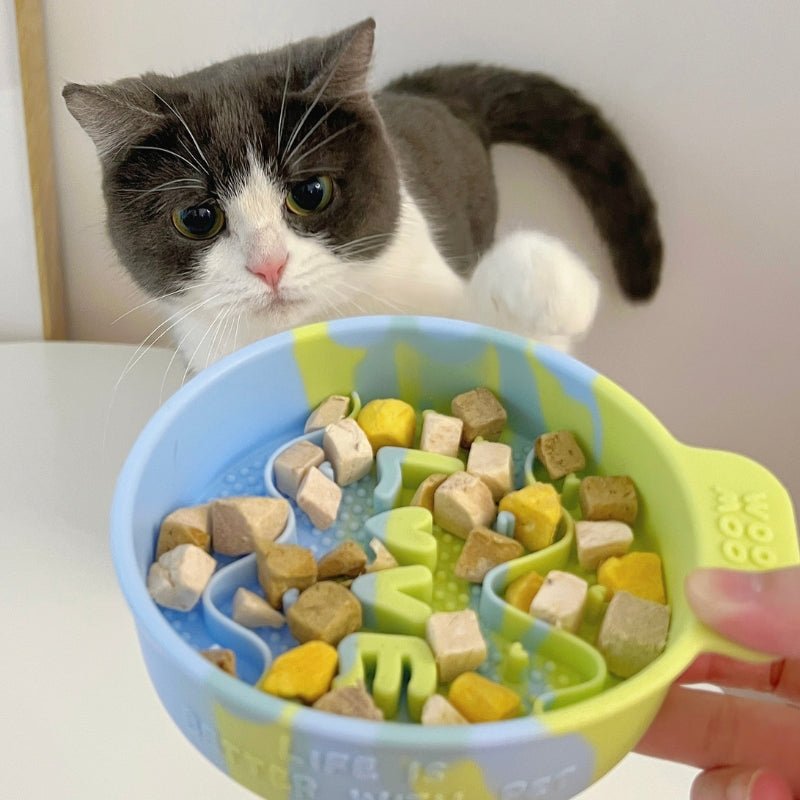 Silicone Slow Feeder Pet Feeding Bowls for Small Medium Cat Dog - PIKAPIKA