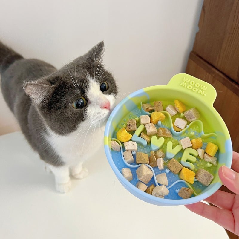 Silicone Slow Feeder Pet Feeding Bowls for Small Medium Cat Dog - PIKAPIKA