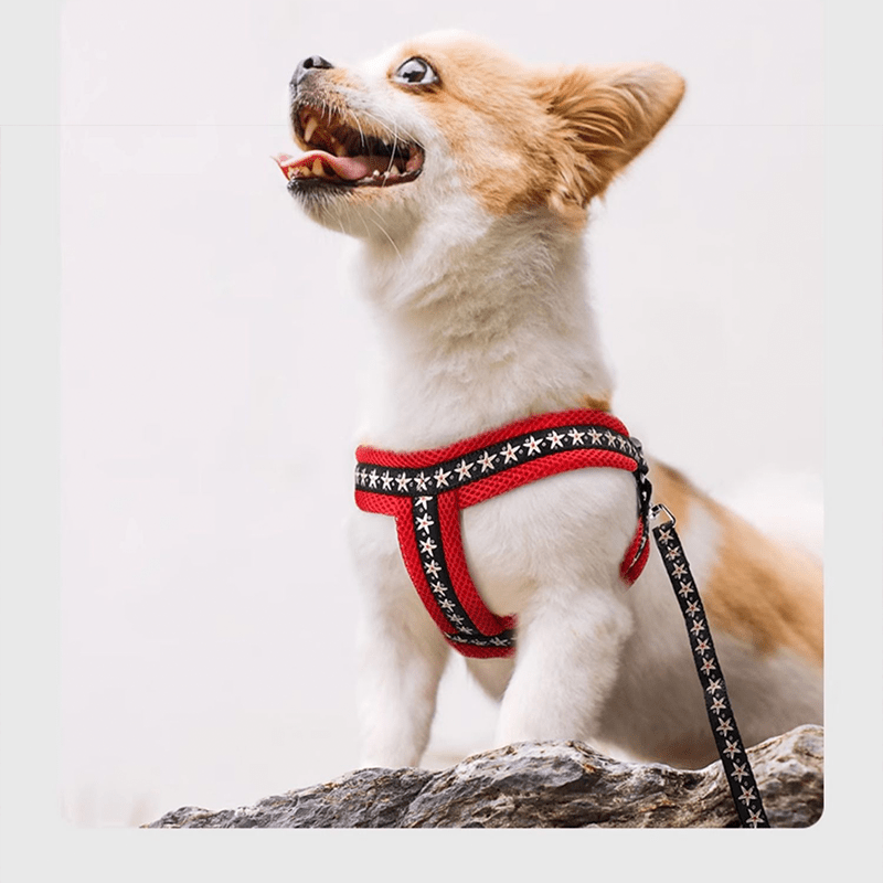 Small Dog Harness with Leash Vest - Style Set - PIKAPIKA