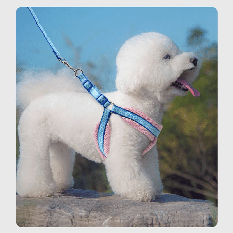 Small Dog Harness with Leash Vest - Style Set - PIKAPIKA