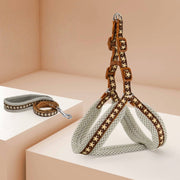 Small Dog Harness with Leash Vest - Style Set - PIKAPIKA