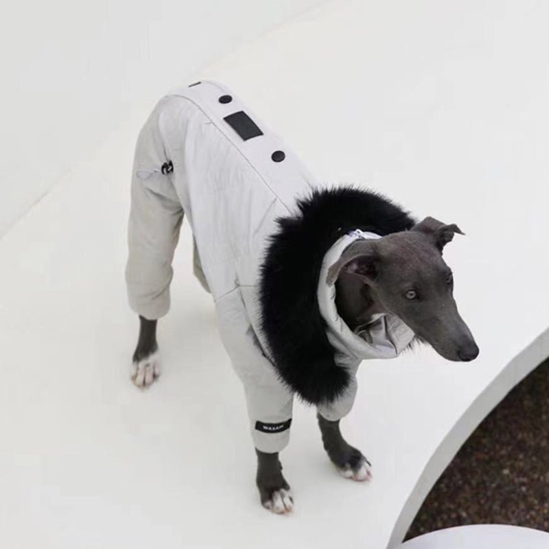 Snowsuit Thickened Jacket Cotton Coat Italian Greyhound Whippet Dog Clothes - PIKAPIKA