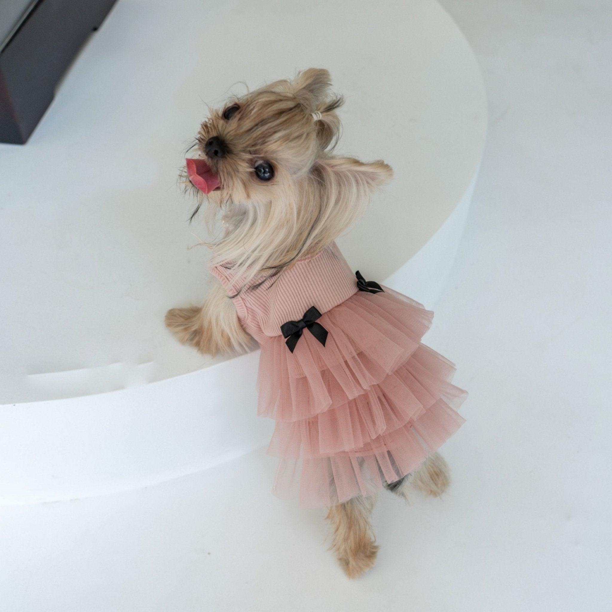 Soft Anti - Wrinkle Tutu Dress – Elegant Mesh Outfit for Toy Dogs - PIKAPIKA