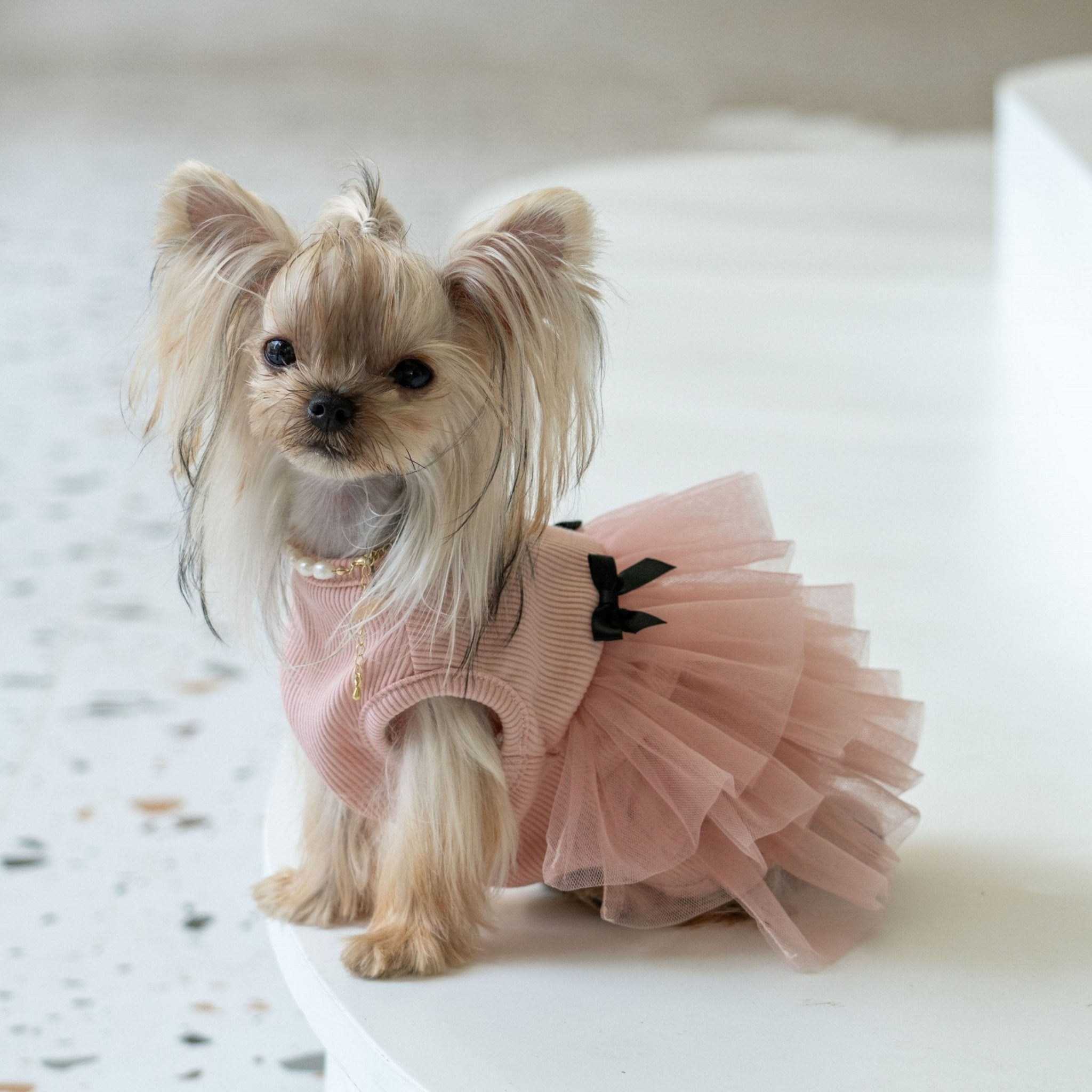 Soft Anti - Wrinkle Tutu Dress – Elegant Mesh Outfit for Toy Dogs - PIKAPIKA