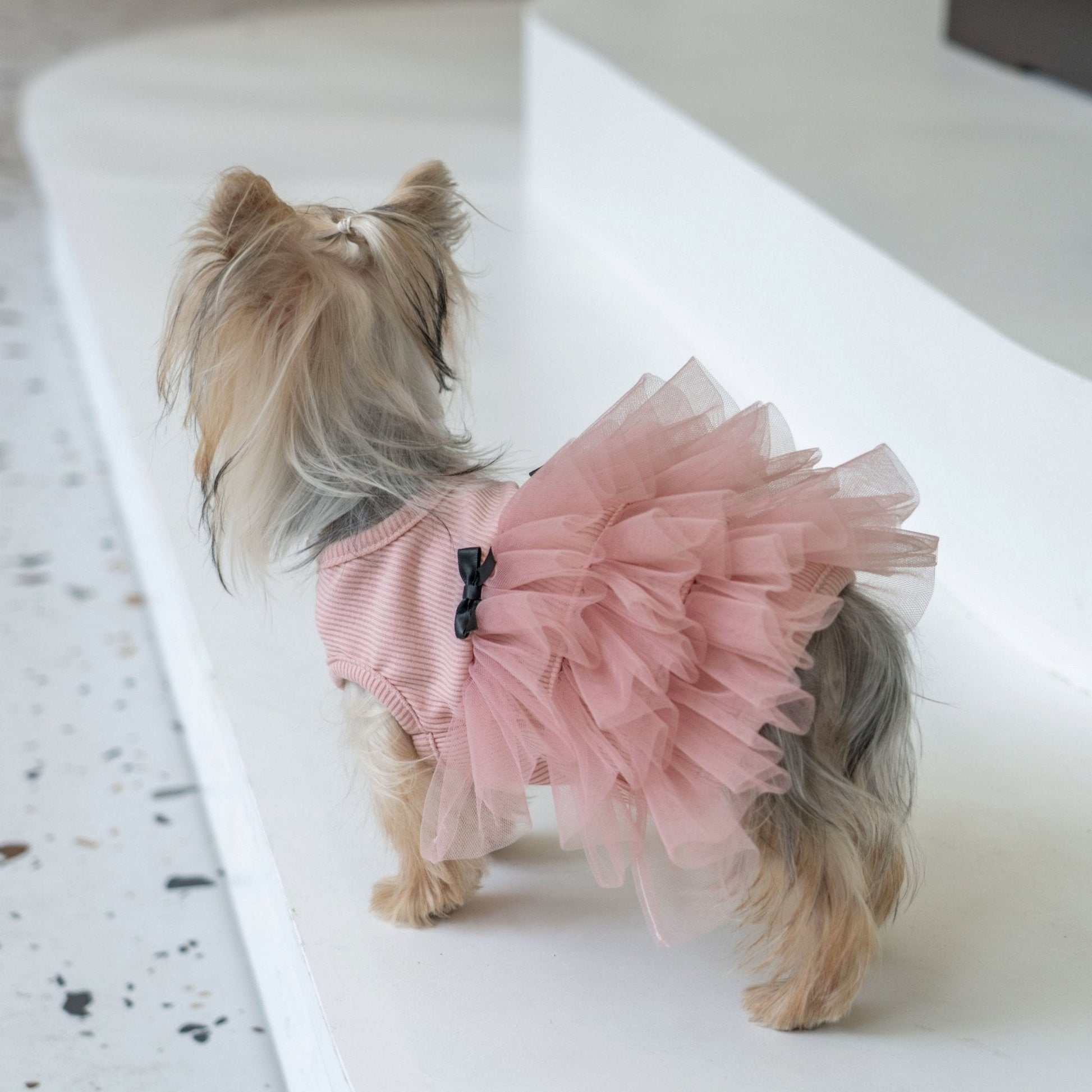 Soft Anti - Wrinkle Tutu Dress – Elegant Mesh Outfit for Toy Dogs - PIKAPIKA