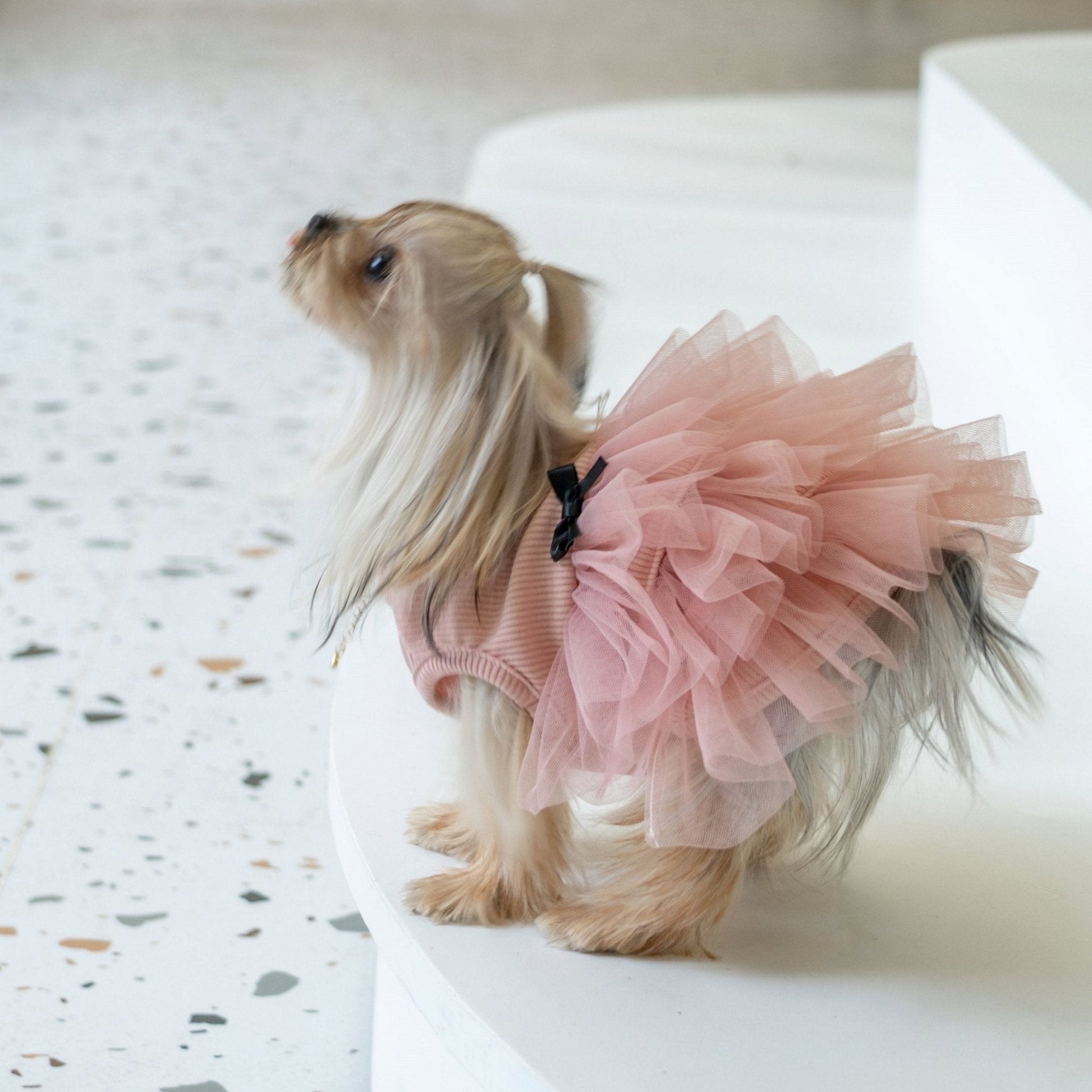 Soft Anti - Wrinkle Tutu Dress – Elegant Mesh Outfit for Toy Dogs - PIKAPIKA