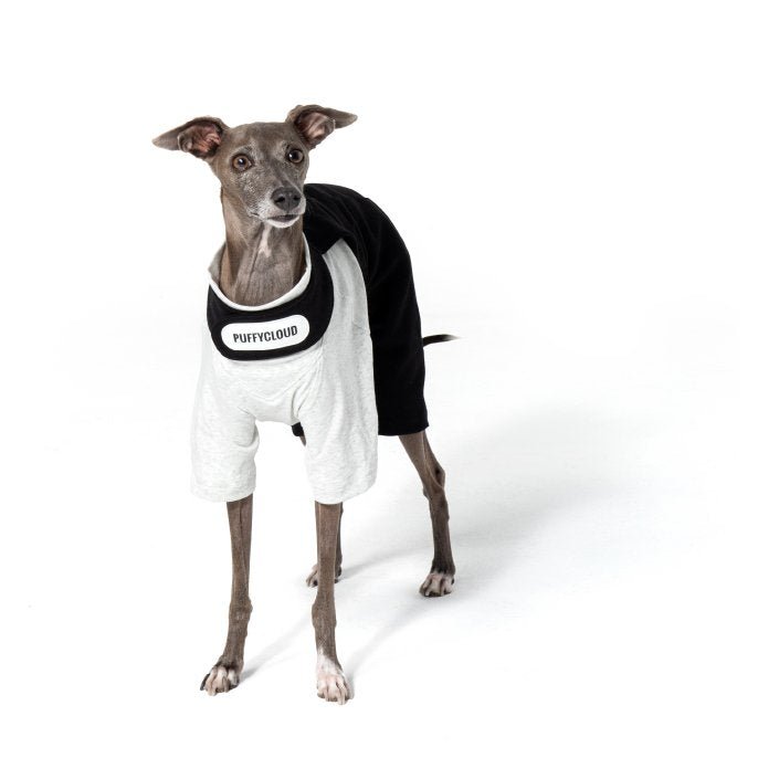 Soft Breathable Cotton Dog Pants for Italian Greyhounds - PIKAPIKA
