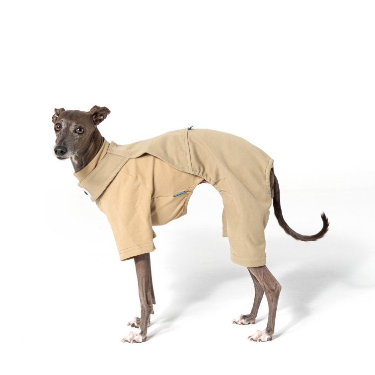 Soft Breathable Cotton Dog Pants for Italian Greyhounds - PIKAPIKA