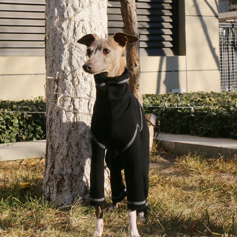 Soft Cotton Onesies 4 Legs Greyhound Whippet Dog Turtleneck Clothes Black - PIKAPIKA