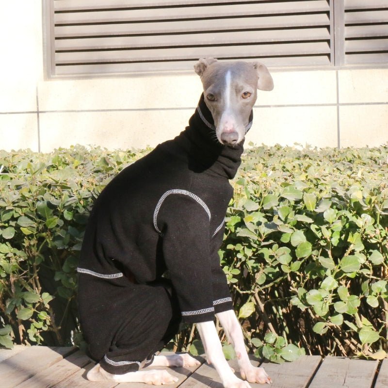 Soft Cotton Onesies 4 Legs Greyhound Whippet Dog Turtleneck Clothes Black - PIKAPIKA